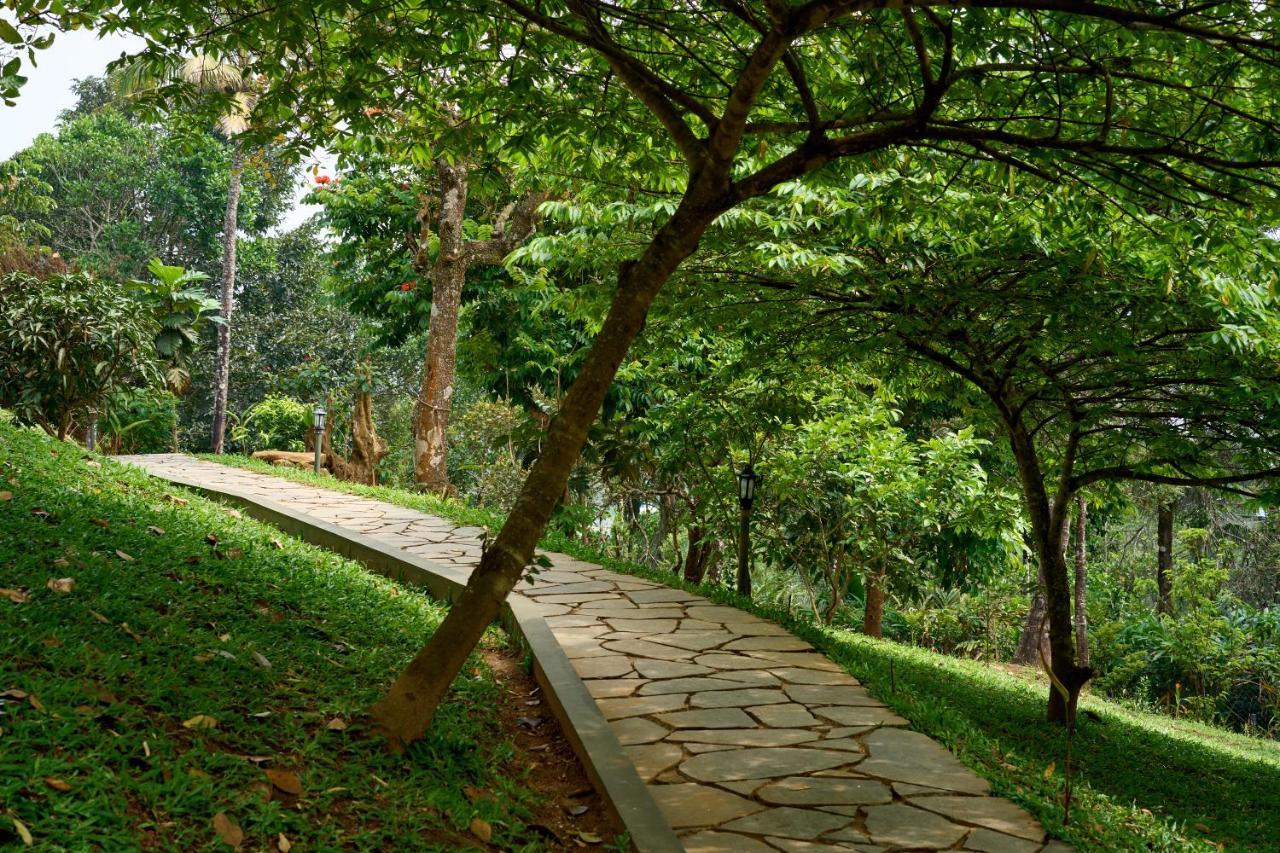 Haze And Kites Resort 무나르 외부 사진